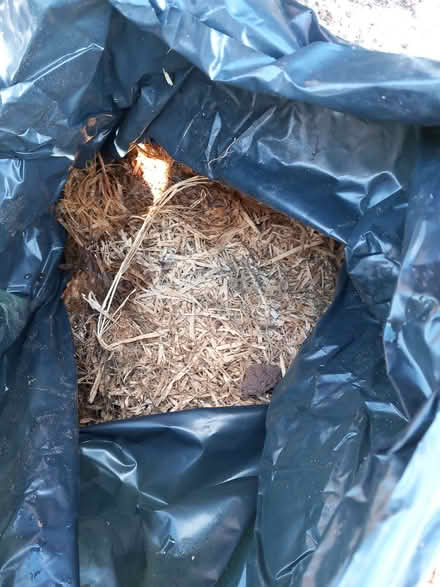 Photo of free 2 bags wood shavings/chippings (Chesham HP5) #1