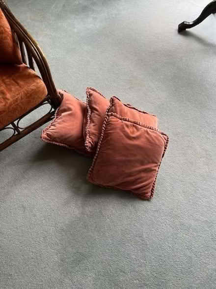 Photo of free four cushions (Henley-on-Thames RG9) #1