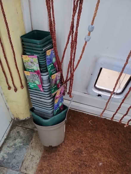 Photo of free Plastic plant pots (Brockley SE4) #1