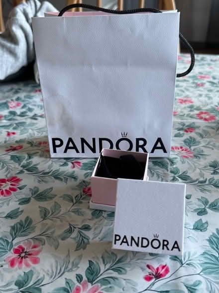 Photo of free Empty Pandora box and gift bag (Ware SG12) #1
