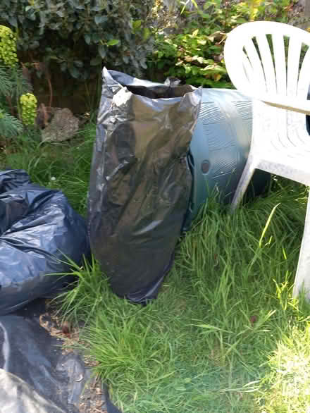 Photo of free 2 bags wood shavings/chippings (Chesham HP5) #2