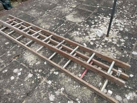 Photo of free Extending ladder (West Blatchington BN3) #1