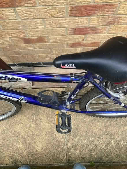 Photo of free Adult bike - blue (Grimsbury OX16) #3