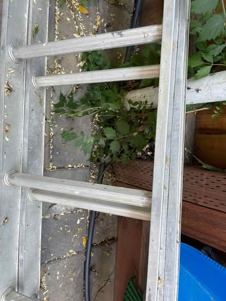 Photo of free Used ladder (Sunnyvale (near CalTrain)) #2