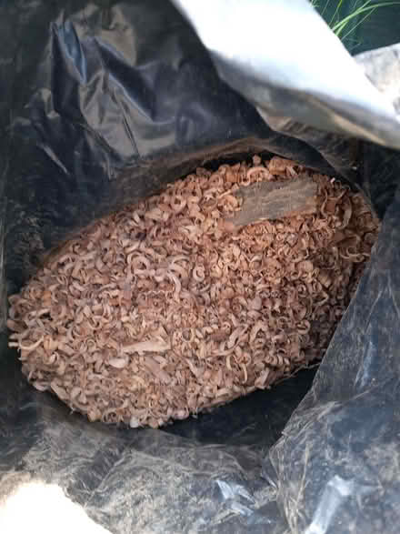 Photo of free 2 bags wood shavings/chippings (Chesham HP5) #3