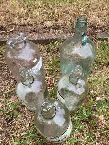 Photo of free Demijohns (Cradley WR13) #1