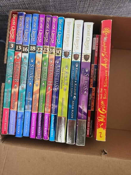 Photo of free Children's Novels/Books (OX3) #1