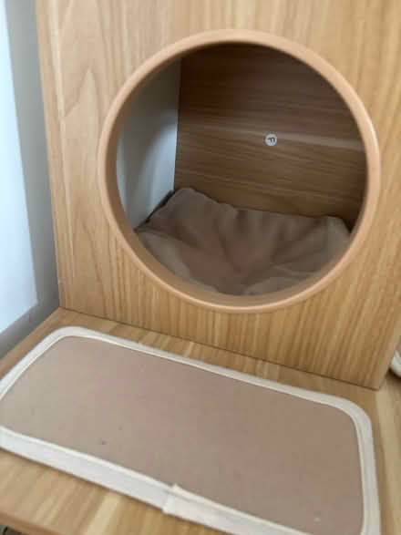 Photo of free Cat tree (Tooting Bec) #2
