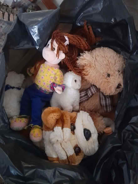 Photo of free Soft Toys (Boothen ST4) #1