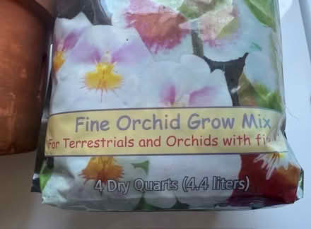 Photo of free Orchid Pot and Grow Mix (Cupertino - DeAnza and 280) #2