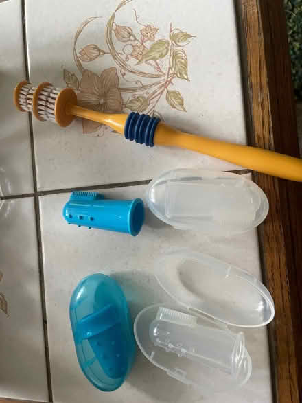 Photo of free Dog toothbrushes (Seven Sisters N15) #1