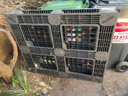 Photo of free Plastic pallet #2 (Bray) #2