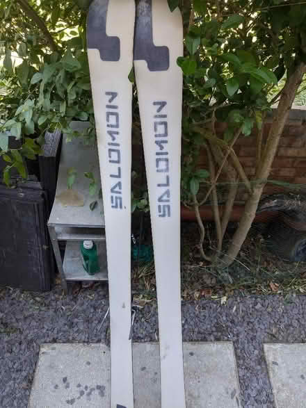 Photo of free ski's for fencing/other project (Earlsfield SW17) #1