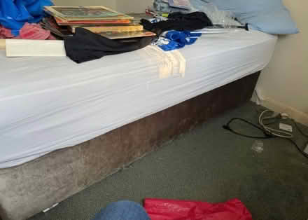 Photo of free To a good home (EX8) #1