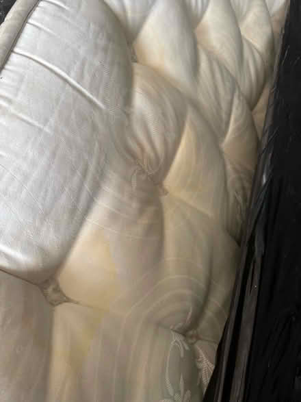 Photo of free Sofa.com Single Mattress (IP13) #2