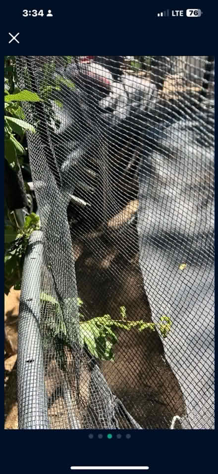 Photo of free 16 foot wide trampoline-needs TLC (NE Heights-Indian School/Penn) #4