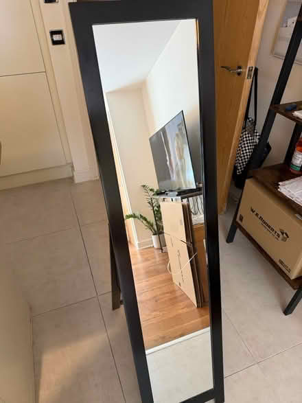 Photo of free Black standing mirror (Ascot SL5) #1