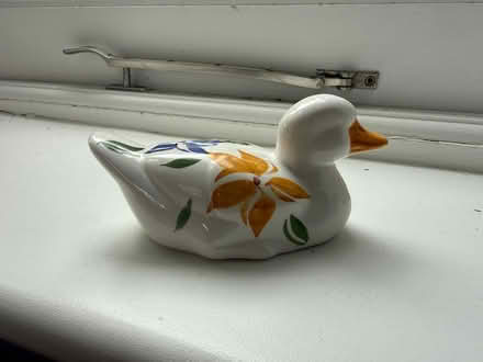 Photo of free China duck (Kennington) #1