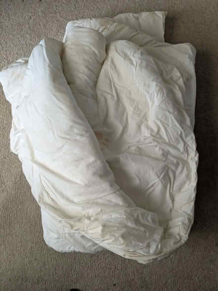 Photo of free Single Duvet (Cotham Ward BS6) #1