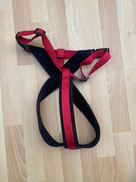 Photo of free Dog harness (Kings Heath B13) #1