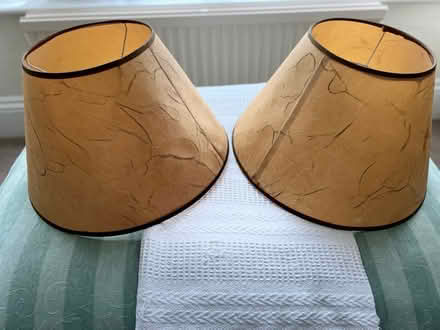 Photo of free Lampshades (BN3) #2