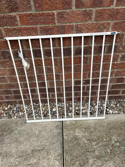 Photo of free Baby/pet safety gate (Martham NR29) #1