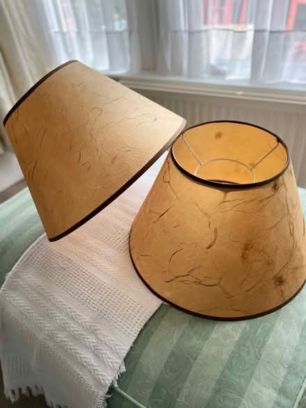 Photo of free Lampshades (BN3) #1