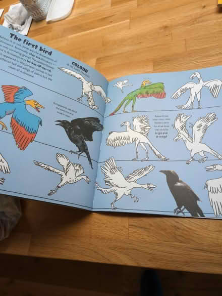 Photo of free Dino activity book (BN43) #4