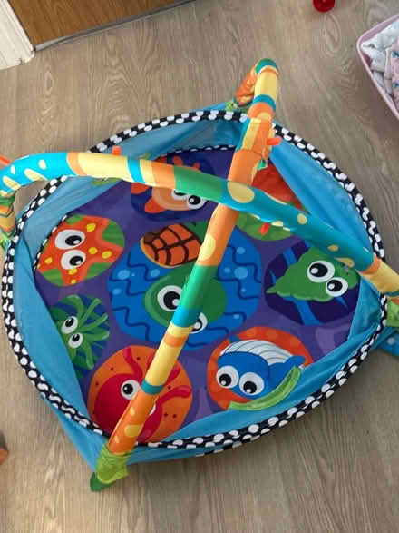 Photo of free ball pit (BS7) #1