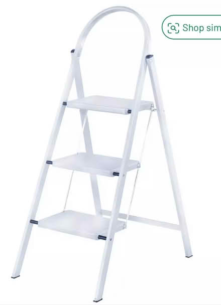 Photo of Ladder (Archdale Road) #1