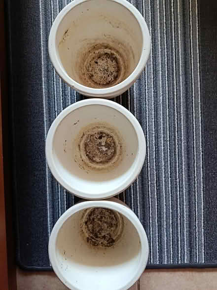 Photo of free Ceramic pots x 3 (OX3 Wood Farm) #2