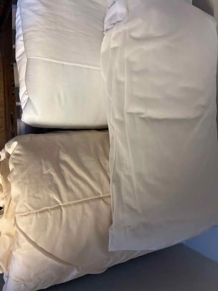 Photo of free Duvets and pillow (Ferndale DY11) #1