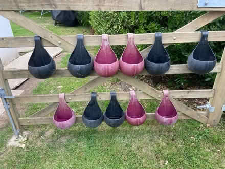 Photo of free Hanging baskets for fences (South Ferring BN12) #1