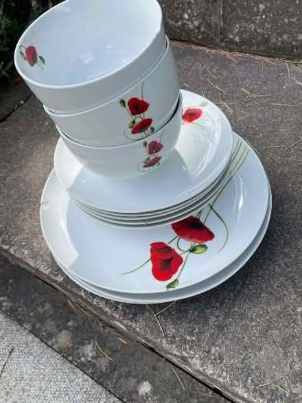 Photo of free 3 bowls, 3 large plates and 5 small plates (Garthmyl SY15) #1