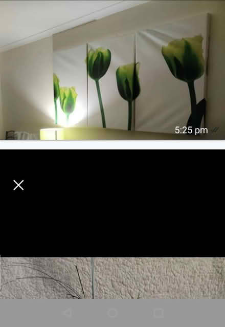 Photo of free Canvas frame large and small (Plaistow E13) #4