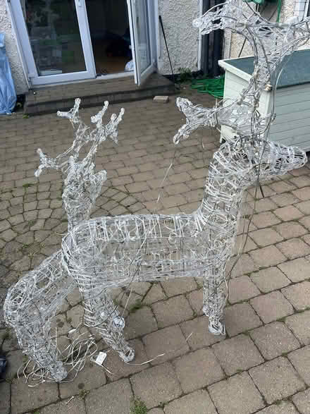 Photo of free Christmas reindeer (Beaver Row Donnybrook) #1