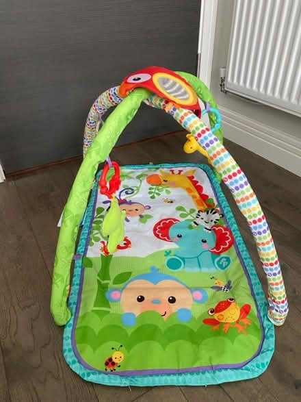 Photo of free Playmate (Kingston KT1) #1