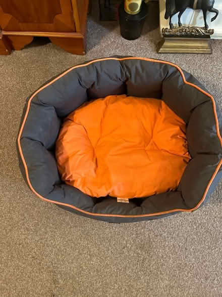 Photo of free Dogs bed medium size (BR3 1rq) #1