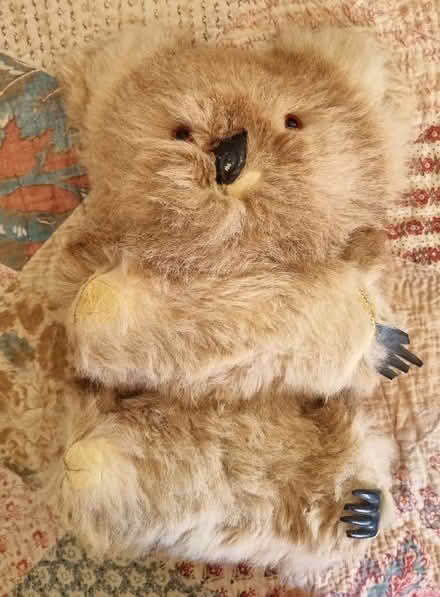 Photo of free Toy koala (Central Lancaster LA1) #1