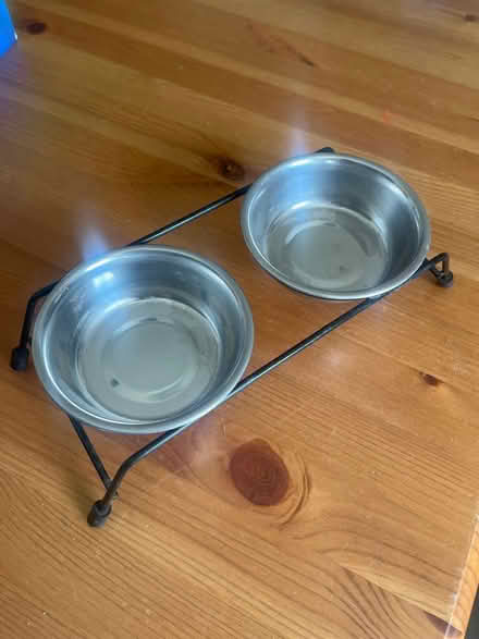 Photo of free Puppy/kitten bowls (Meersbrook, S8) #1