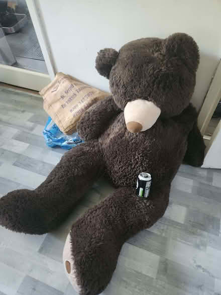 Photo of free Teddy bear (E8) #1