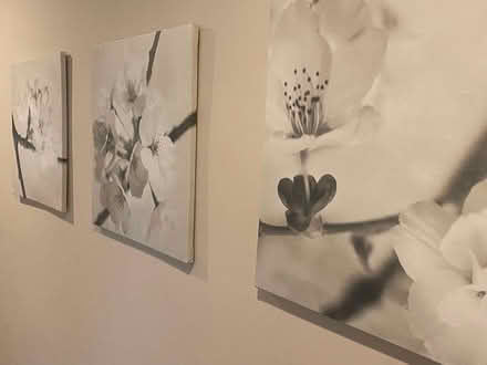 Photo of free 3 botanical prints on canvas (Ardmore) #2