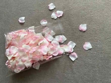 Photo of free Light pink silk petals (Sanderstead) #1
