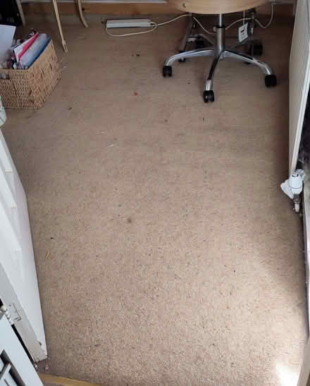 Photo of free carpet pieces (Mountier Court E11) #1