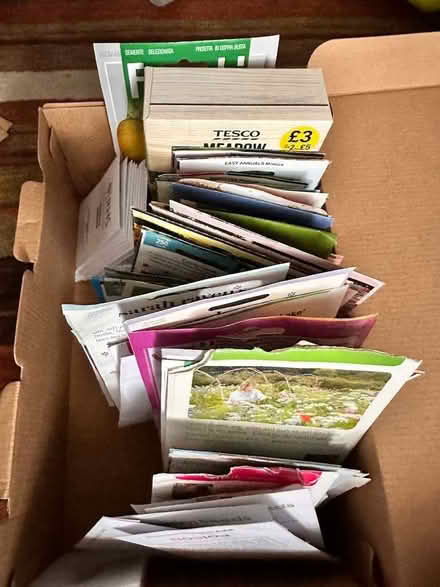Photo of free Garden Pots etc (Old Basing RG24) #1