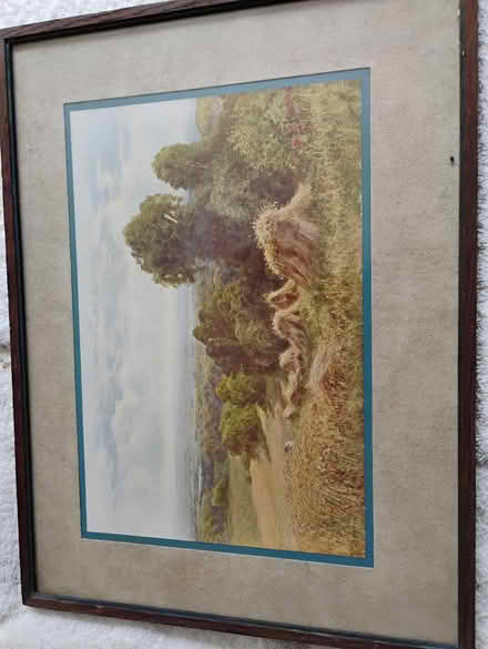Photo of free Framed picture (Ifield West) #1