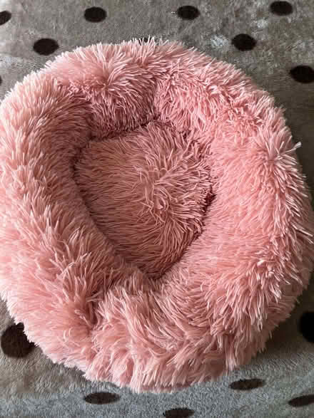 Photo of free Cat bed (Cippenham SL1) #1
