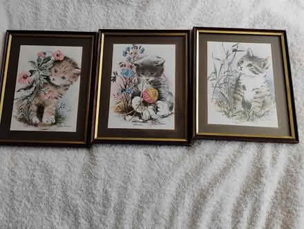 Photo of free Pictures (Ifield West) #1