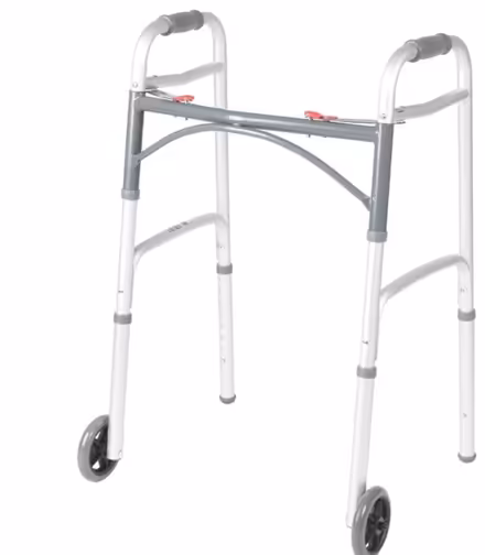 Photo of Adult Walker (Galveston texas) #1