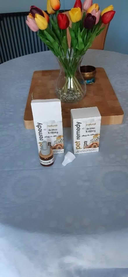 Photo of free Pet remedy diffuser (St Anne's on the Sea FY8) #1